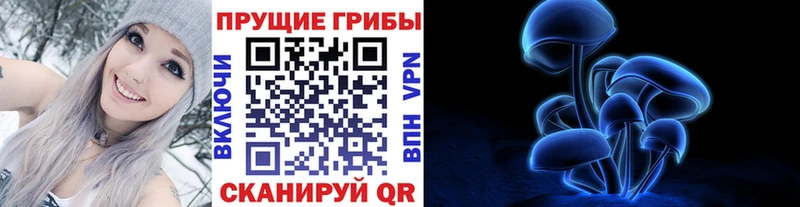 Галлюциногенные грибы MAGIC MUSHROOMS  Купить  Нюрба 