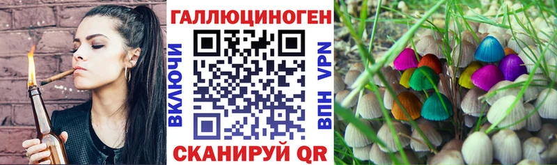 Псилоцибиновые грибы GOLDEN TEACHER Нюрба