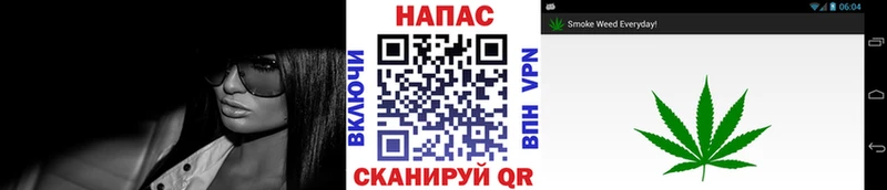 Купить где  Нюрба  Конопля ГИДРОПОН 